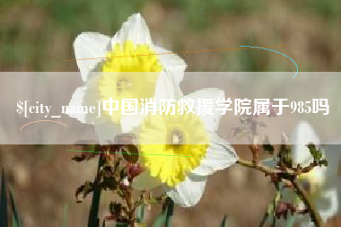 随州中国消防救援学院属于985吗
