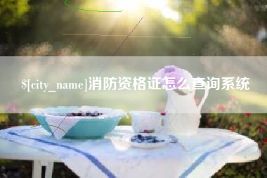 随州消防资格证怎么查询系统