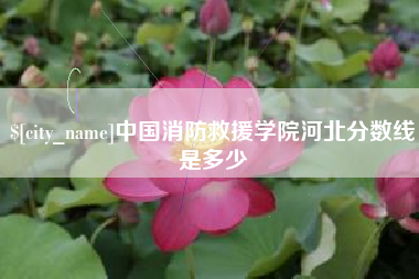 随州中国消防救援学院河北分数线是多少