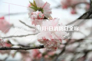 随州11月9日消防日全称