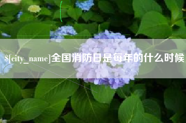 随州全国消防日是每年的什么时候