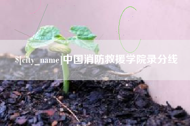 随州中国消防救援学院录分线