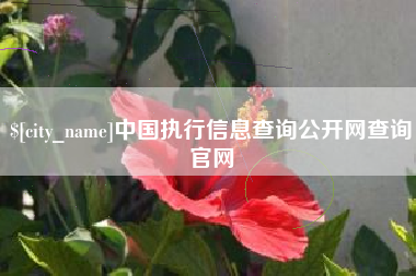 随州中国执行信息查询公开网查询官网