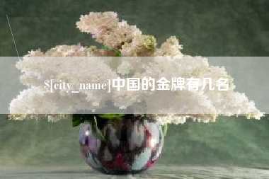 随州中国的金牌有几名