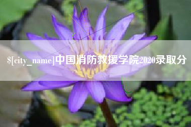 随州中国消防救援学院2020录取分