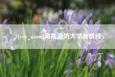 随州河南消防大学分数线