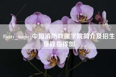 随州中国消防救援学院简介及招生章程指挥部