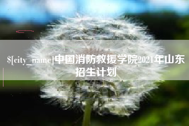 随州中国消防救援学院2021年山东招生计划