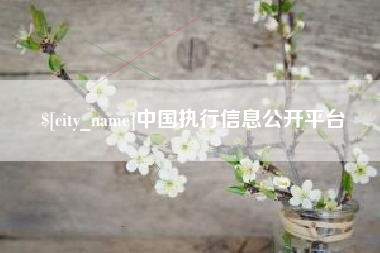 随州中国执行信息公开平台