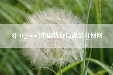 随州中国执行信息公开网网