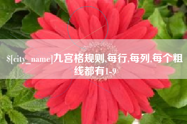 随州九宫格规则,每行,每列,每个粗线都有1-9