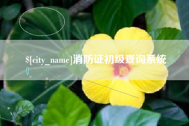 随州消防证初级查询系统