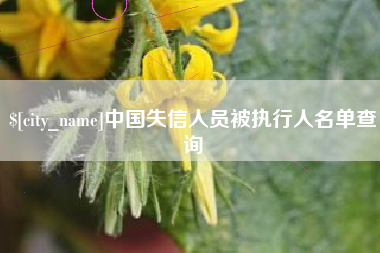 随州中国失信人员被执行人名单查询