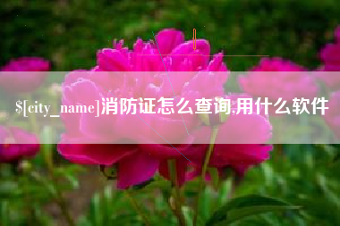 随州消防证怎么查询,用什么软件