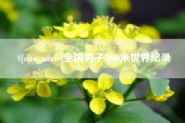 随州全国男子5000米世界纪录