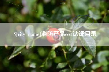 随州消防产品cccf认证目录