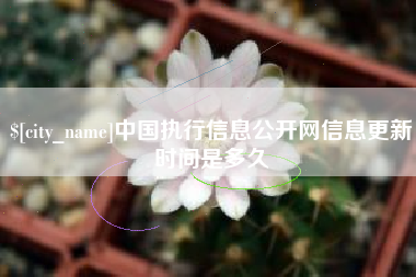 随州中国执行信息公开网信息更新时间是多久