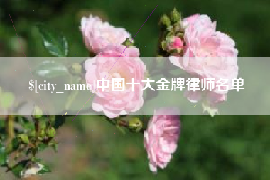 随州中国十大金牌律师名单