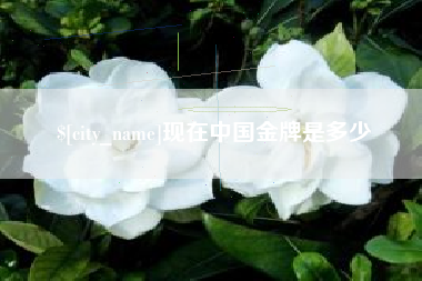 随州现在中国金牌是多少