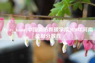 随州中国消防救援学院2020年河南录取分数线