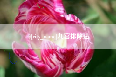 随州九宫排除法