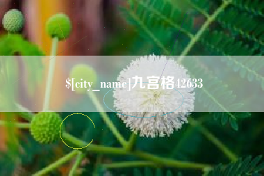 随州九宫格42633