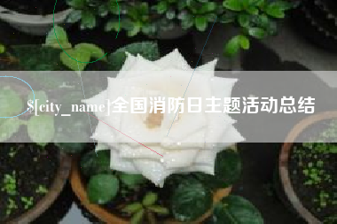 随州全国消防日主题活动总结