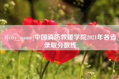 随州中国消防救援学院2021年各省录取分数线