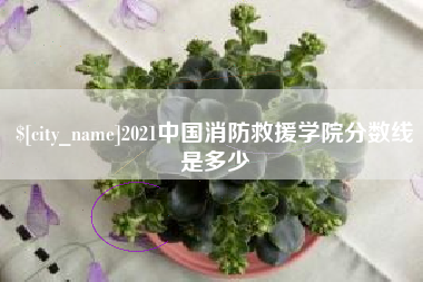 随州2021中国消防救援学院分数线是多少