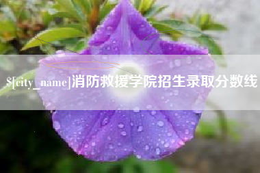 随州消防救援学院招生录取分数线