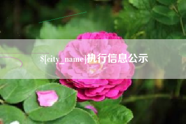 随州执行信息公示