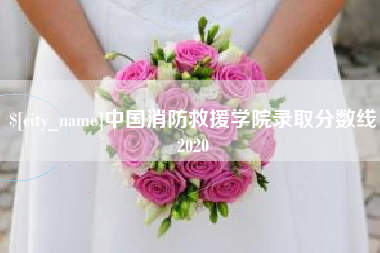 随州中国消防救援学院录取分数线2020