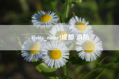 随州成都 消防