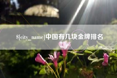 随州中国有几块金牌排名