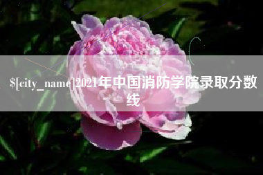 随州2021年中国消防学院录取分数线