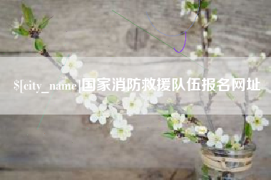 随州国家消防救援队伍报名网址