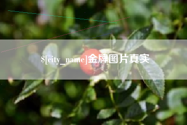 随州金牌图片真实