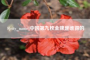 随州中国第九枚金牌是谁得的