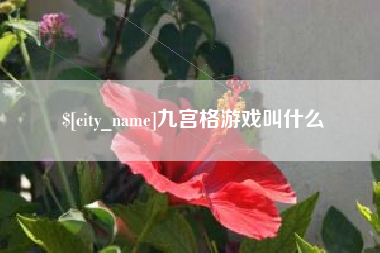 随州九宫格游戏叫什么