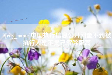 随州中国执行信息公开网查不到被执行人是不是已解除限高