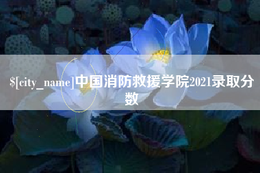 随州中国消防救援学院2021录取分数