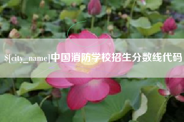 随州中国消防学校招生分数线代码