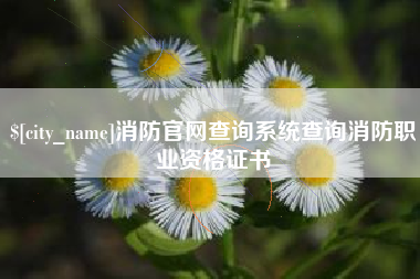 随州消防官网查询系统查询消防职业资格证书