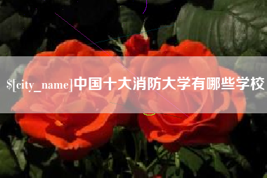 随州中国十大消防大学有哪些学校