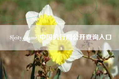 随州中国执行网公开查询入口