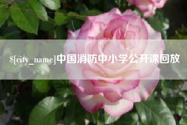 随州中国消防中小学公开课回放