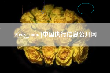 随州中国执行信息公开网