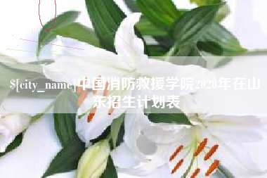 随州中国消防救援学院2020年在山东招生计划表