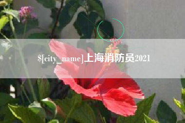 随州上海消防员2021