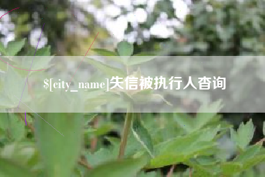 随州失信被执行人杳询